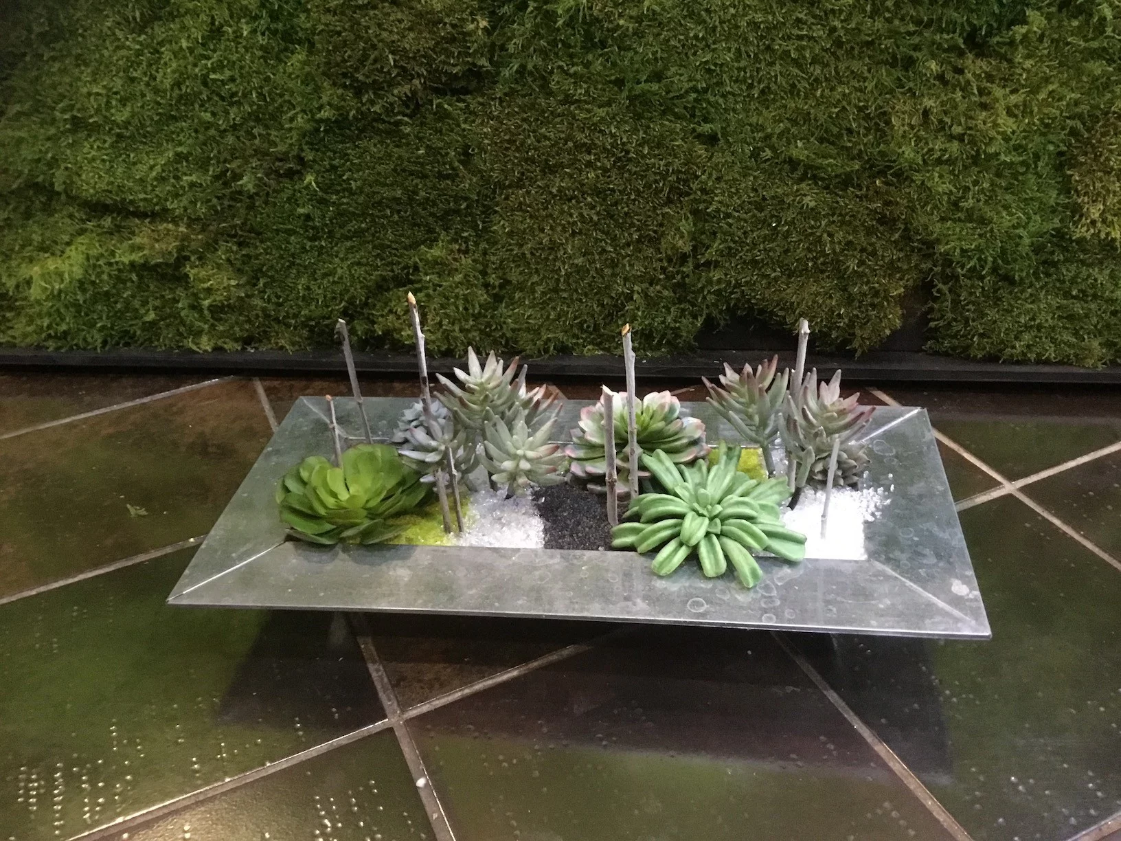 Jardin aride, par Fleurs et Tendances, fleuriste à Vandœuvre-lès-Nancy