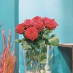 Roses de Au Muguet, par Au Muguet, fleuriste à Carqueiranne