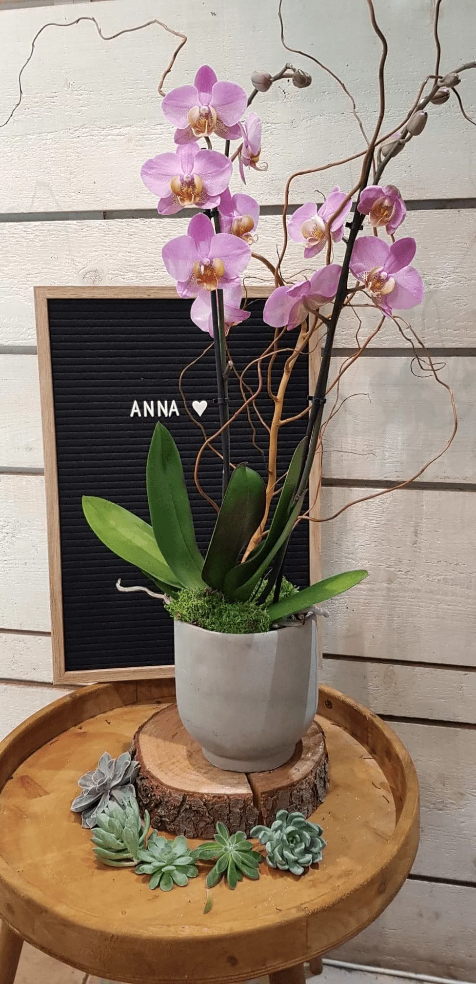 Orchidée Anna, par Art Végétal, fleuriste à Corbas