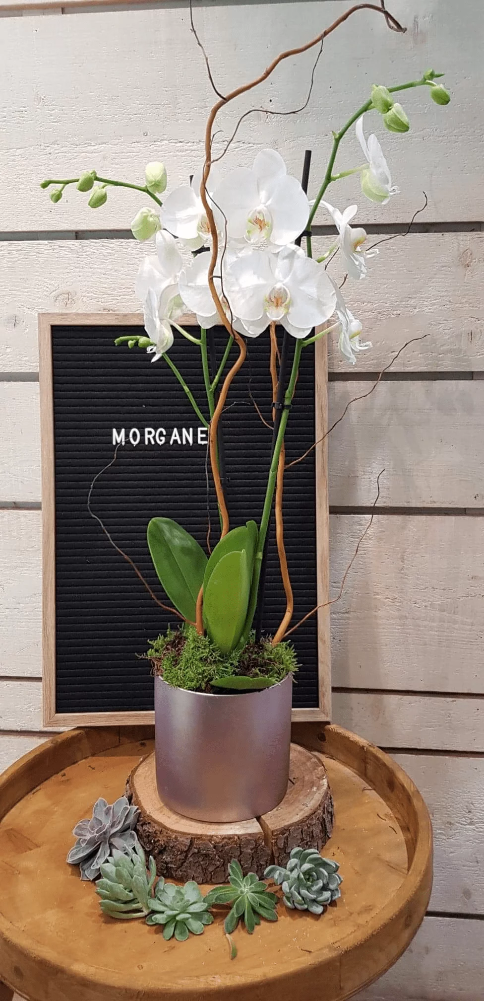 Orchidée Morgane, par Art Végétal, fleuriste à Corbas