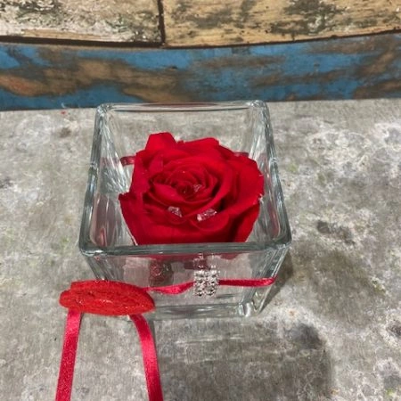 rose stabilisée de couleur rouge en verrerie carrée, par Tropix Illkirch-Graffenstaden, fleuriste à Illkirch-Graffenstaden