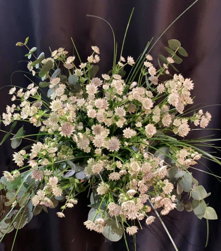 Astrantia & Eucalyptus, par Au langage des fleurs, fleuriste à La Roche-sur-Foron