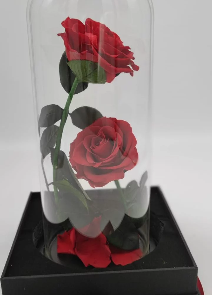 Rose éternelle sous cloche + box, par Fleurs des îles, fleuriste à Grigny