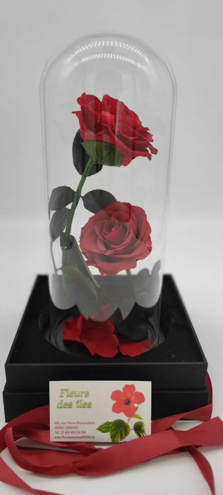Rose éternelle sous cloche + box, par Fleurs des îles, fleuriste à Grigny