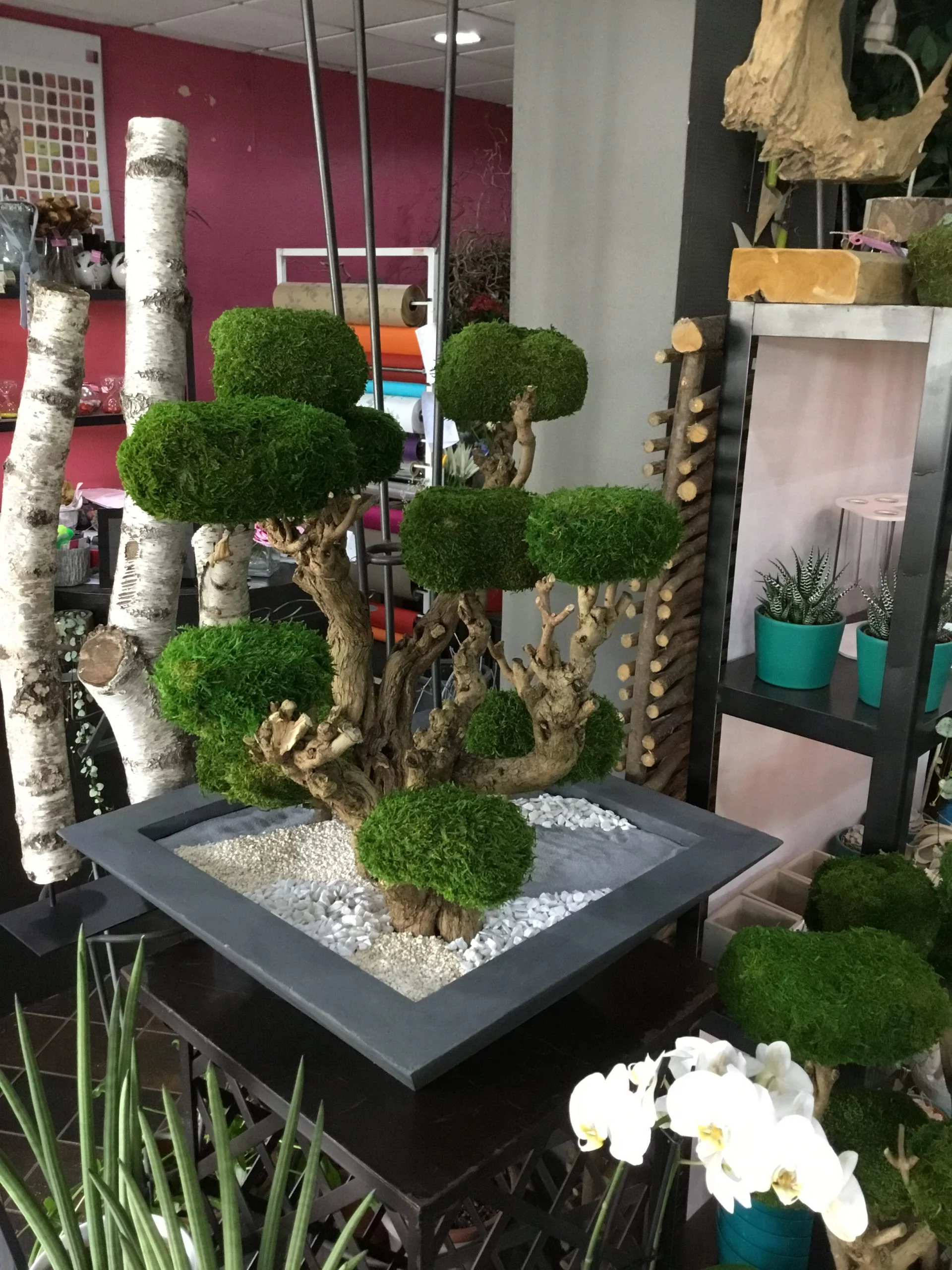 Bonsaï stabilisé, par Fleurs et Tendances, fleuriste à Vandœuvre-lès-Nancy