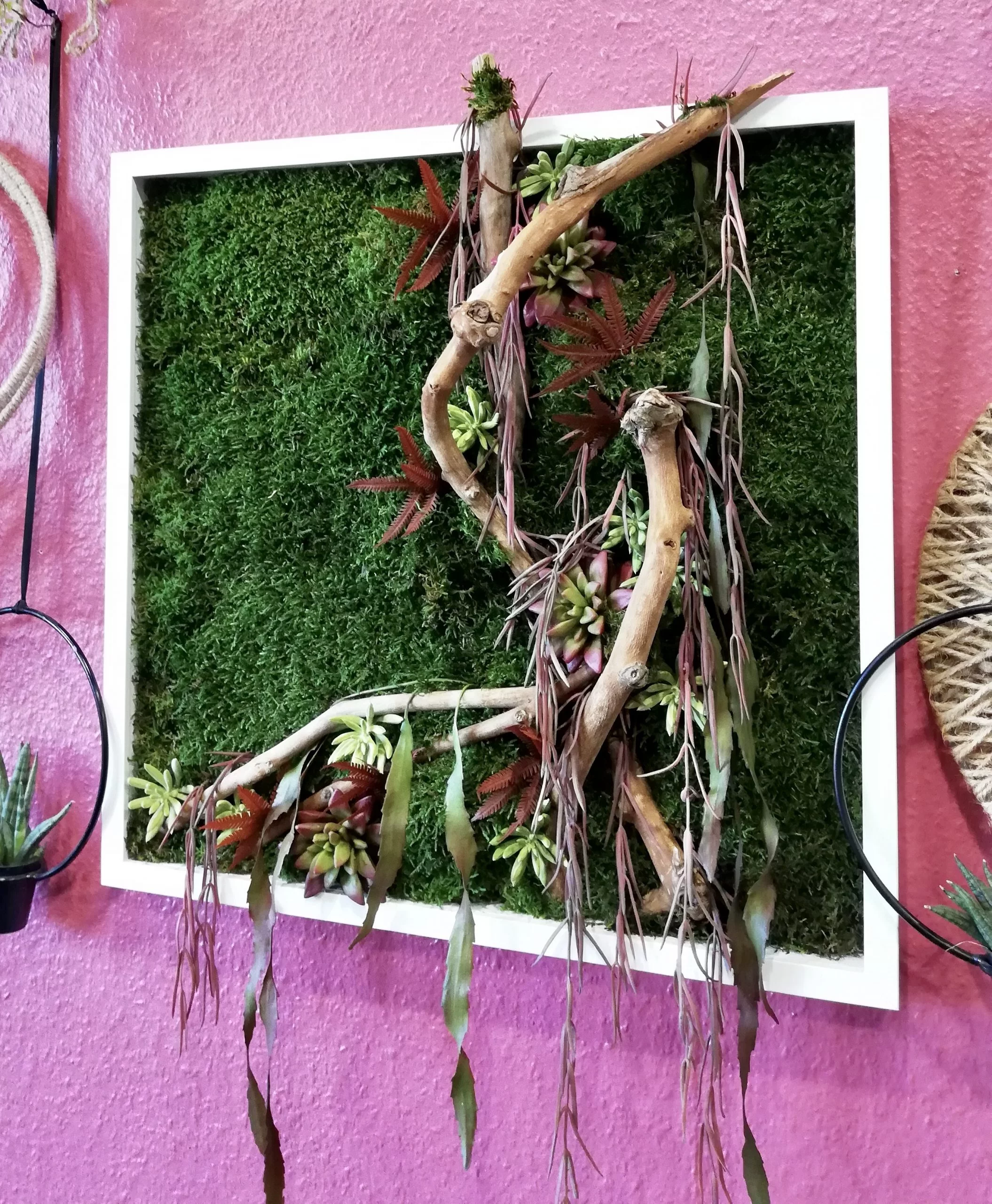Cadre végétal, par Fleurs et Tendances, fleuriste à Vandœuvre-lès-Nancy