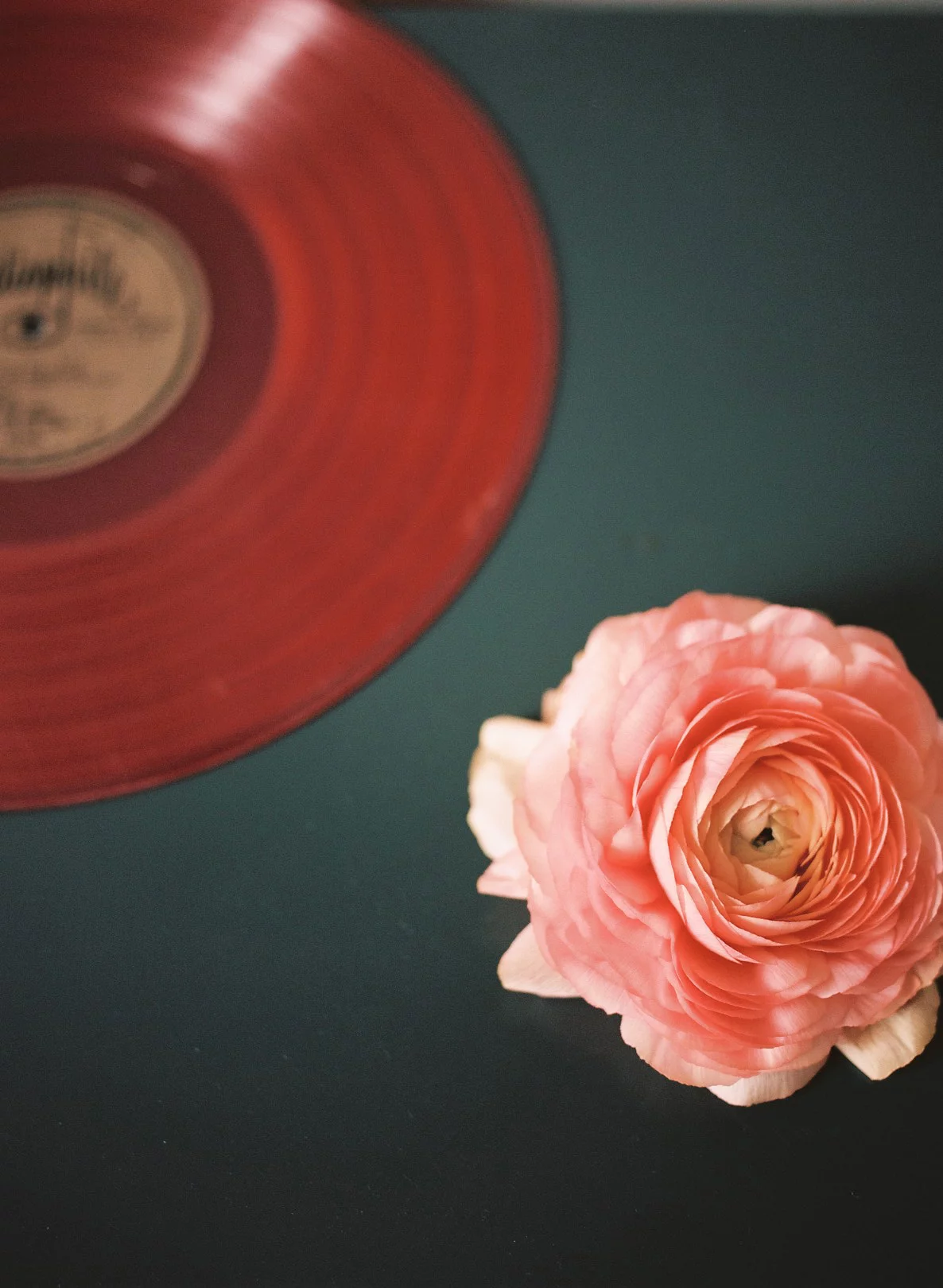 Livraison de fleurs Paris et proximité, par ATELIER FLASH FLEURS, artisan fleuriste