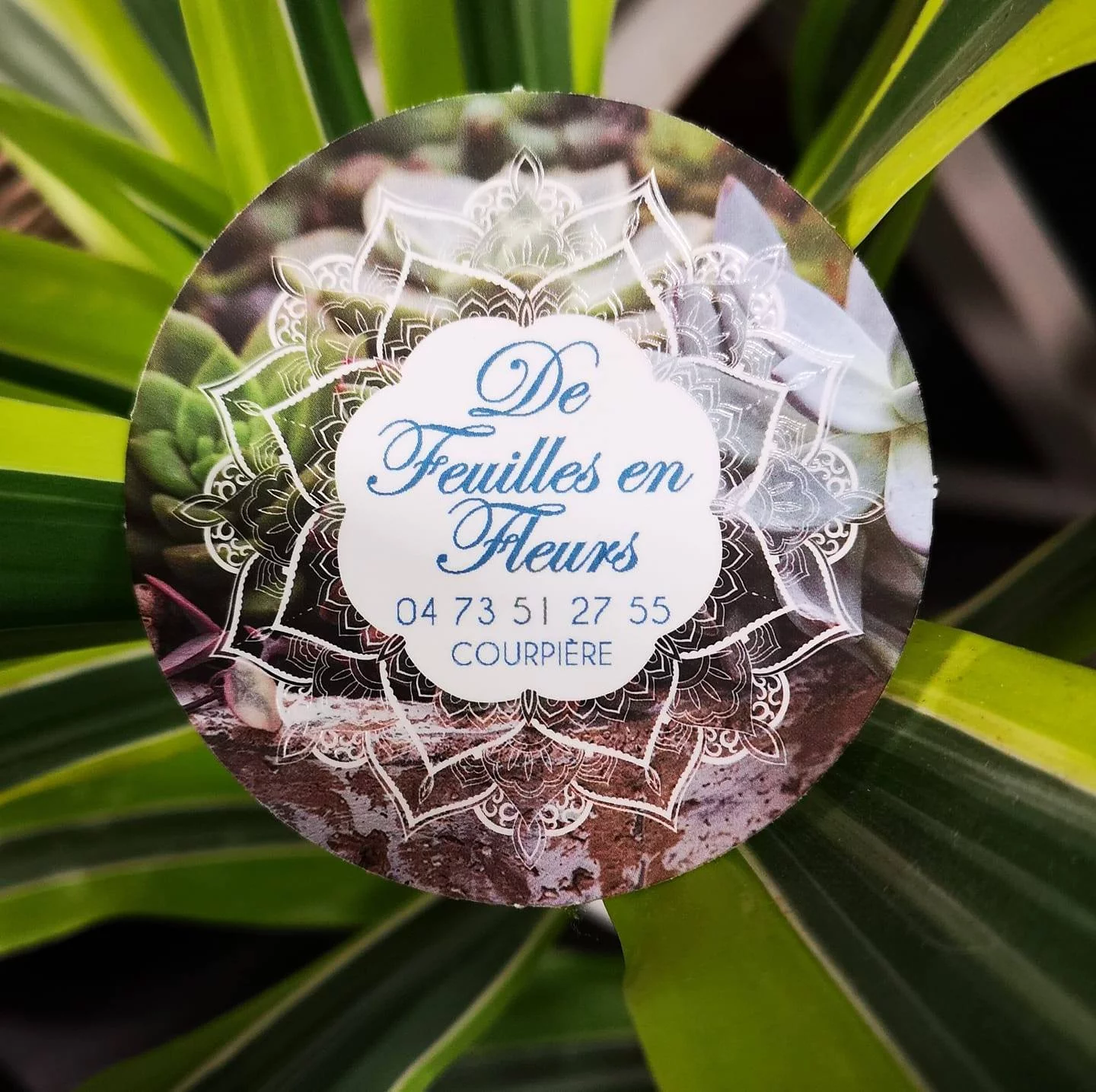 Livraison de fleurs Courpière et proximité, par De Feuilles en Fleurs, artisan fleuriste