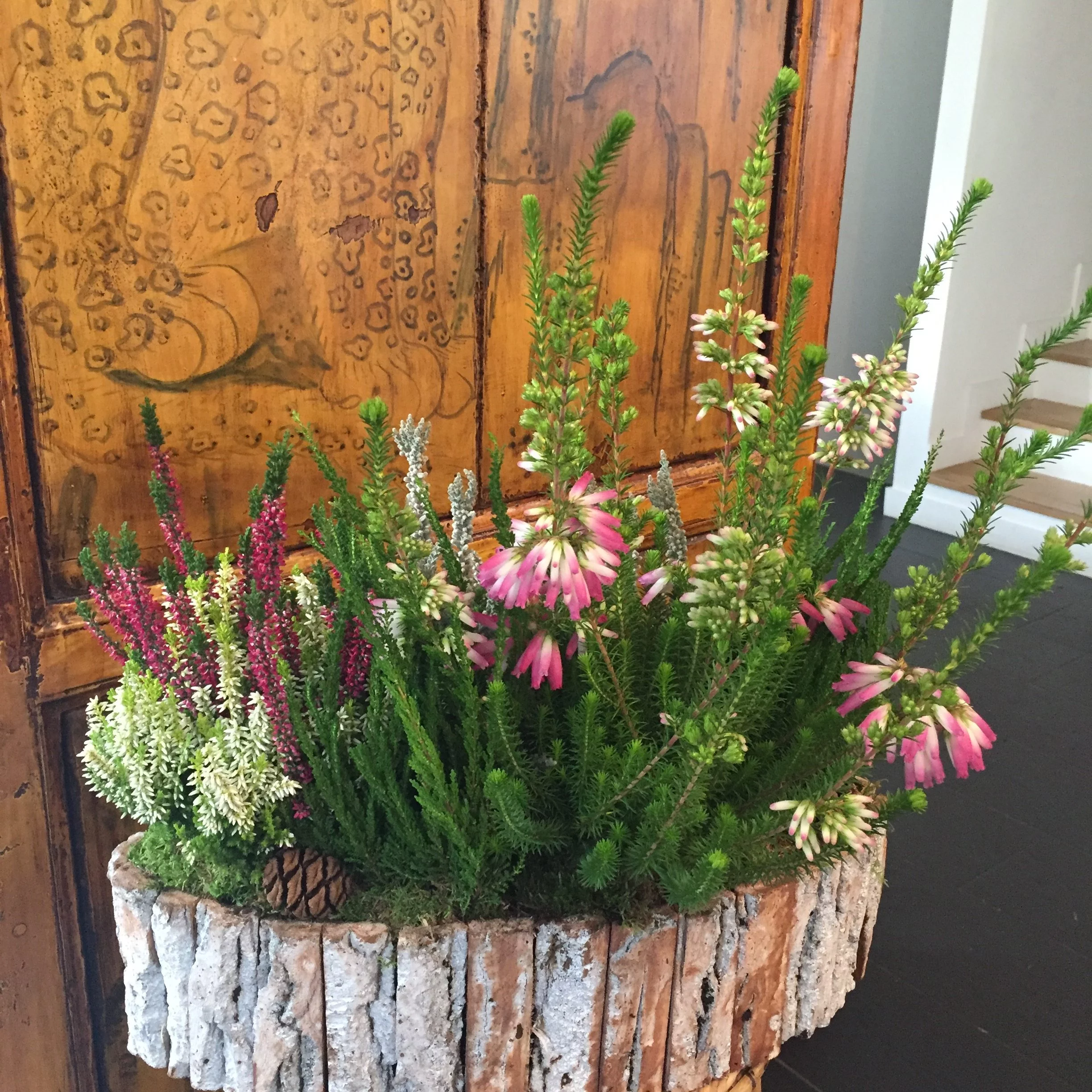 Barque de bruyères, par Hanakawa, fleuriste à Meudon