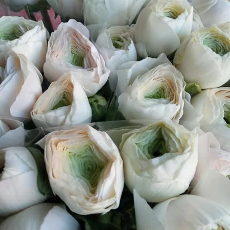 Bouquet de Renoncules, par Camomille Fleuriste Nomade, fleuriste à Rivières