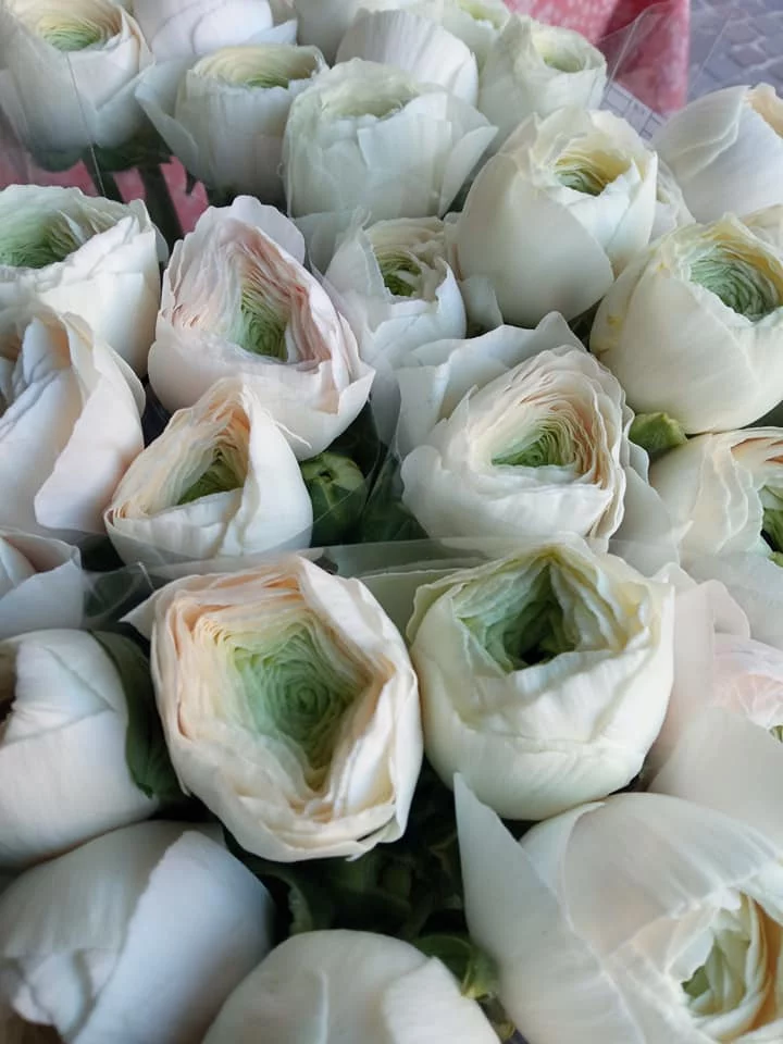 Bouquet de Renoncules, par Camomille Fleuriste Nomade, fleuriste à Rivières