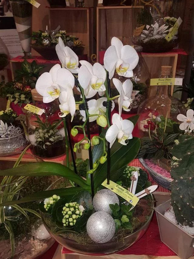 Livraison de fleurs Béziers et proximité, par Bossez Fleurs, artisan fleuriste