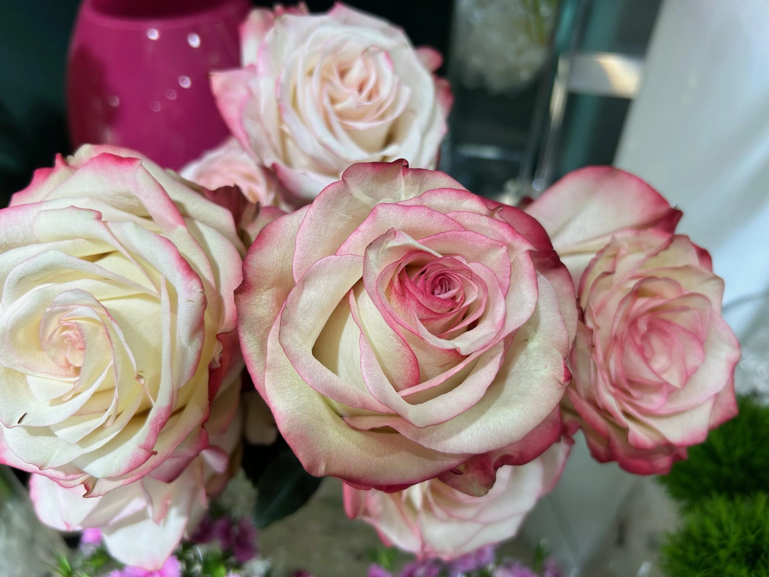 Roses de Julius Artisan Fleuriste, par Julius Artisan Fleuriste, fleuriste à Toulouse