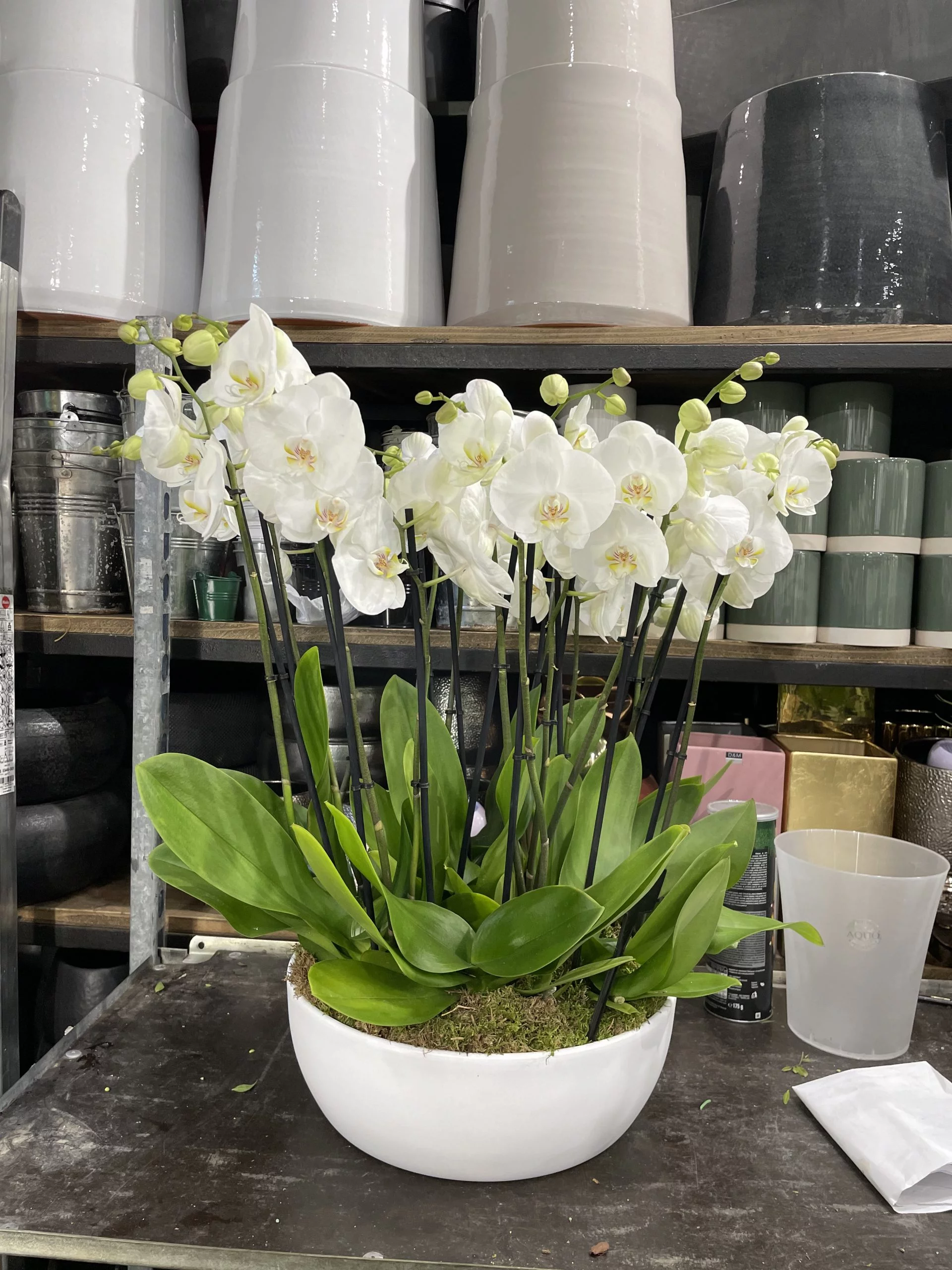 Composition d’orchidées, par Le Studio, fleuriste à Paris