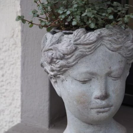 Plante avec son cache-pot "visage", par 15 Au Jardin, fleuriste à Bièvres