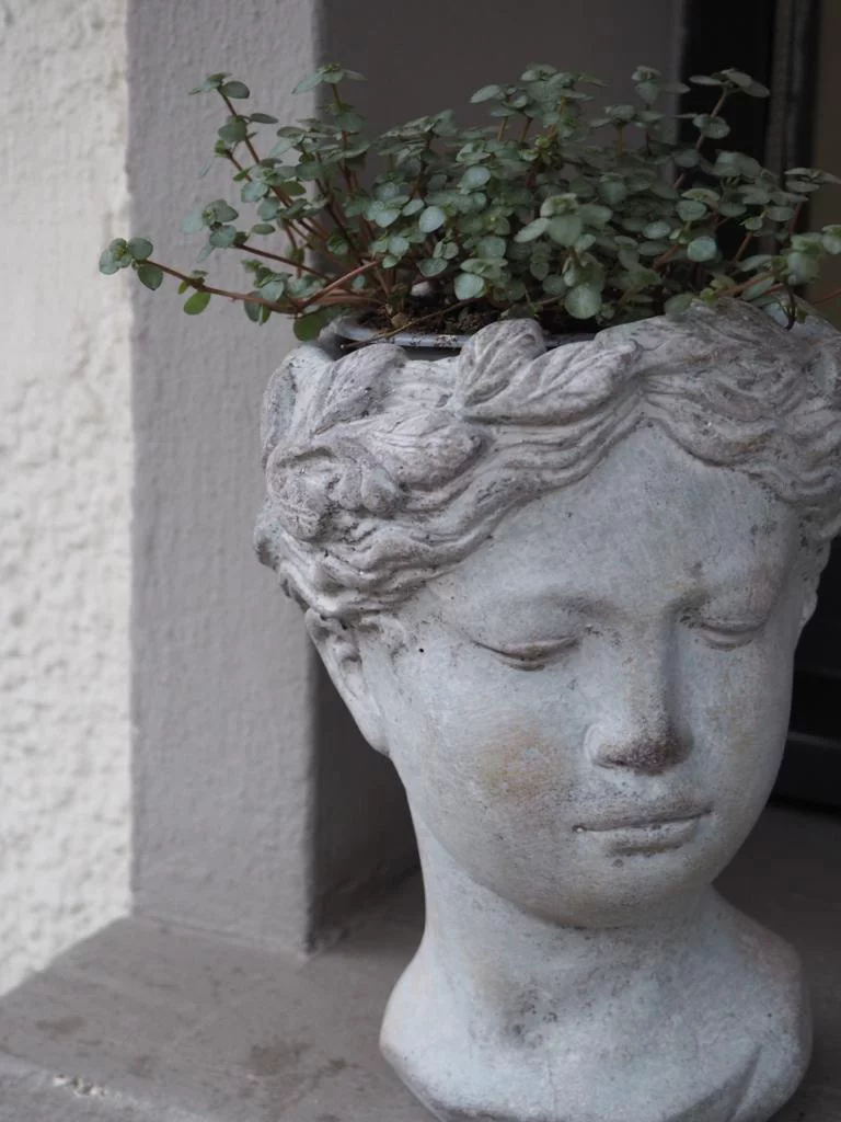 Plante avec son cache-pot « visage », par 15 Au Jardin, fleuriste à Bièvres