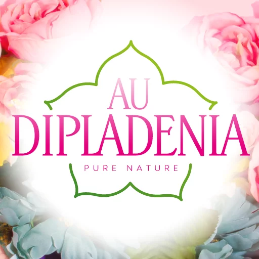 Livraison de fleurs Lille et proximité, par Au Dipladenia, artisan fleuriste
