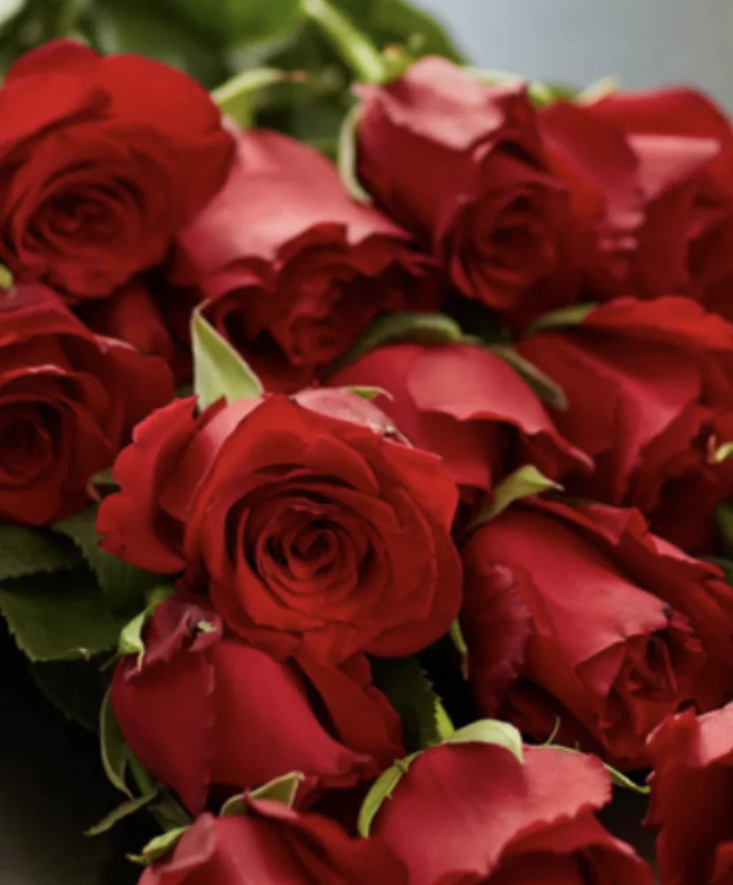 ROSES ROUGES SAINT VALENTIN 2025, par Julius Artisan Fleuriste, fleuriste à Toulouse
