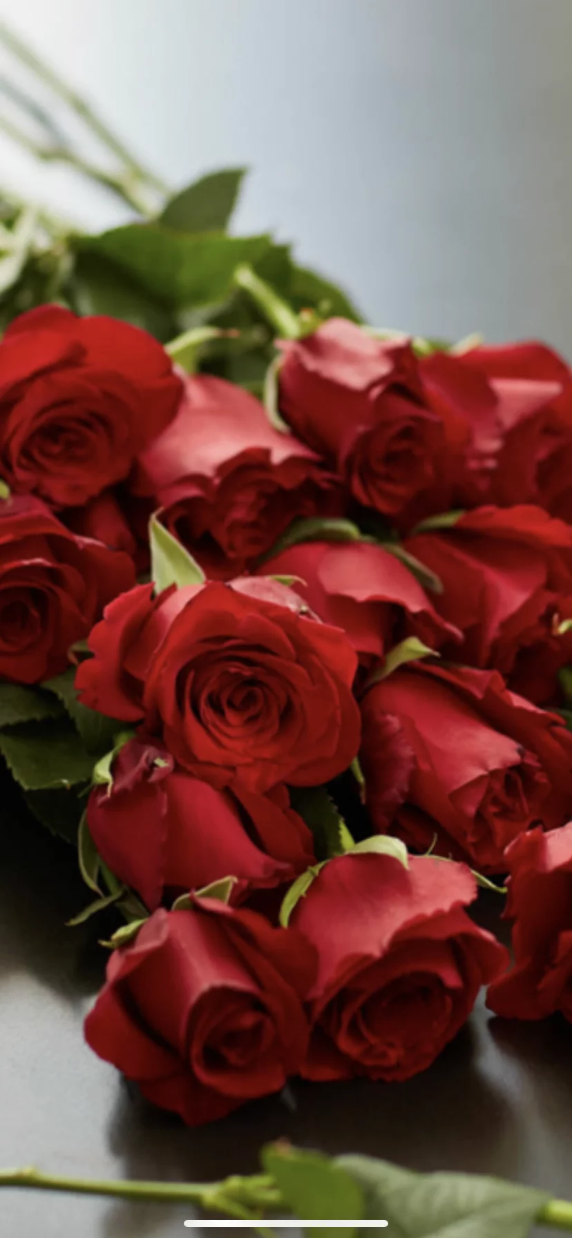 ROSES ROUGES SAINT VALENTIN 2025, par Julius Artisan Fleuriste, fleuriste à Toulouse