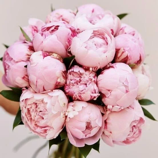 Livraison de fleurs Saint-Genis-Laval et proximité, par Maison Philippe Bizet, artisan fleuriste