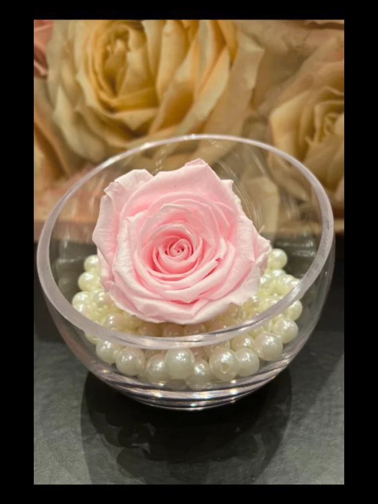 Rose éternelle, par La Rose d'Ispahan, fleuriste à Paris