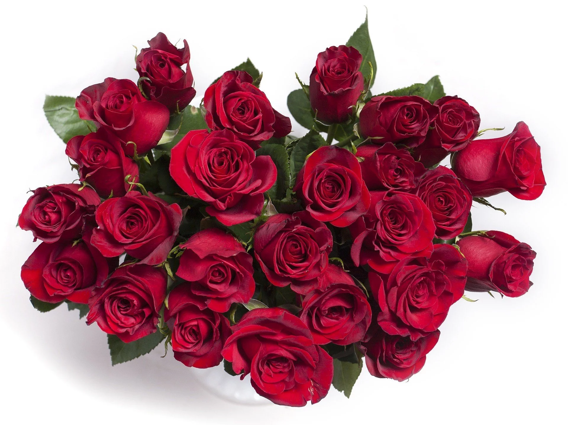 Roses à l&rsquo;unité, par Le Kiosque, fleuriste à Saint-Maur-des-Fossés