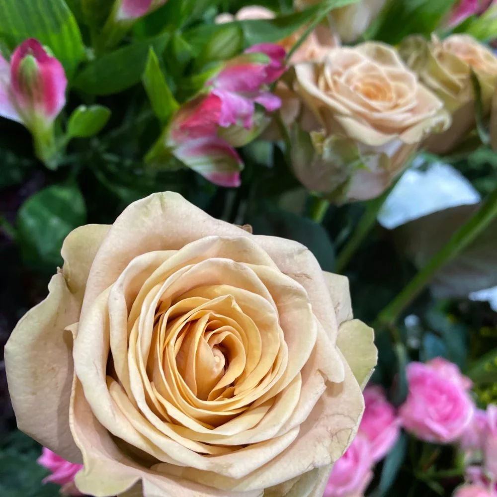 Roses de Bertrand Artisan Floral, par Bertrand Artisan Floral, fleuriste à Paris