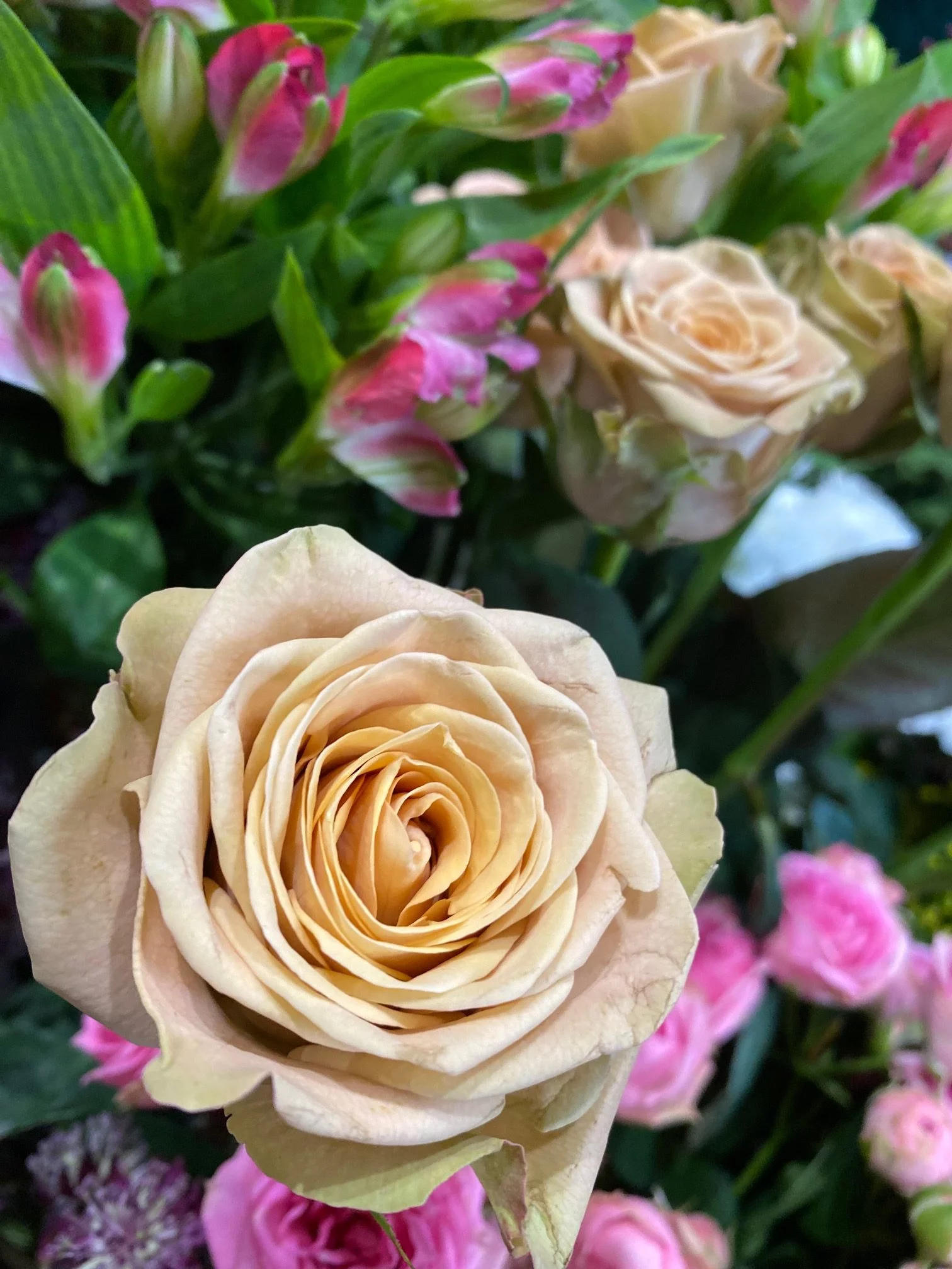 Roses de Bertrand Artisan Floral, par Bertrand Artisan Floral, fleuriste à Paris