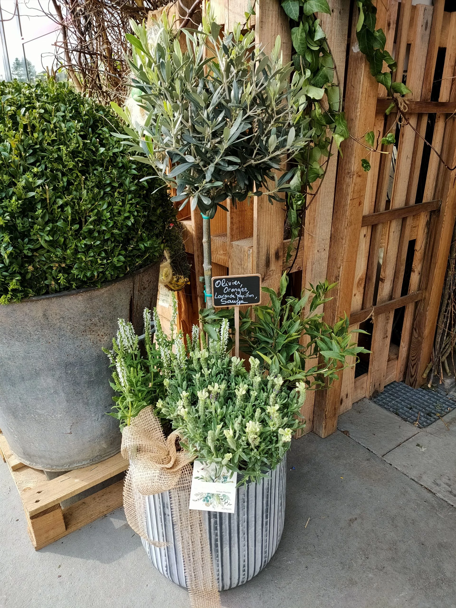 Mon jardin d&rsquo;extérieur, par Au naturel, fleuriste à Alençon