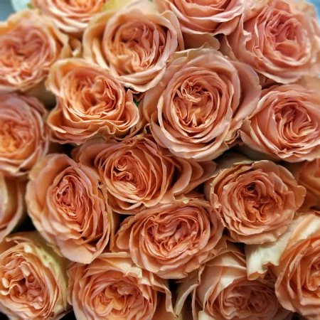 Bouquet de roses à la pièce, par Au fil des pétales, fleuriste à Saint-Geoire-en-Valdaine