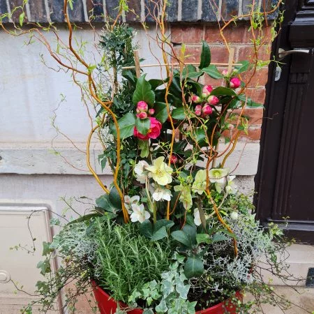 Composition de plantes, par Mon panier à fleurs, fleuriste à Saint-Germain-en-Laye