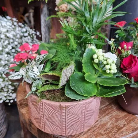 Composition de plantes, par Mon panier à fleurs, fleuriste à Saint-Germain-en-Laye