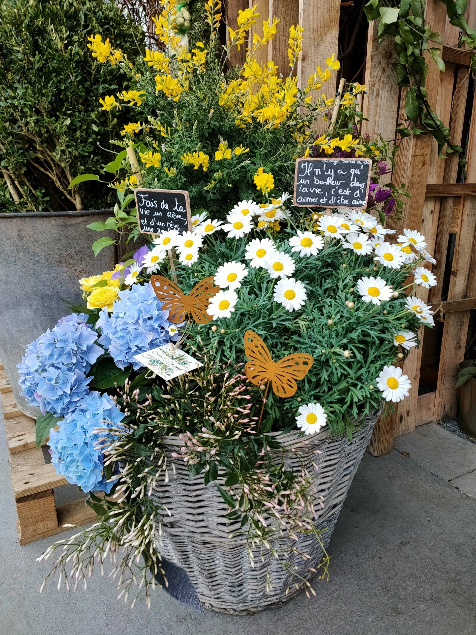 Mon panier garni, par Au naturel, fleuriste à Alençon