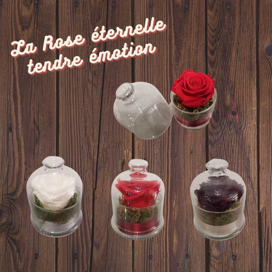 Rose éternelle tendre émotion, par Au fil des pétales, fleuriste à Saint-Geoire-en-Valdaine