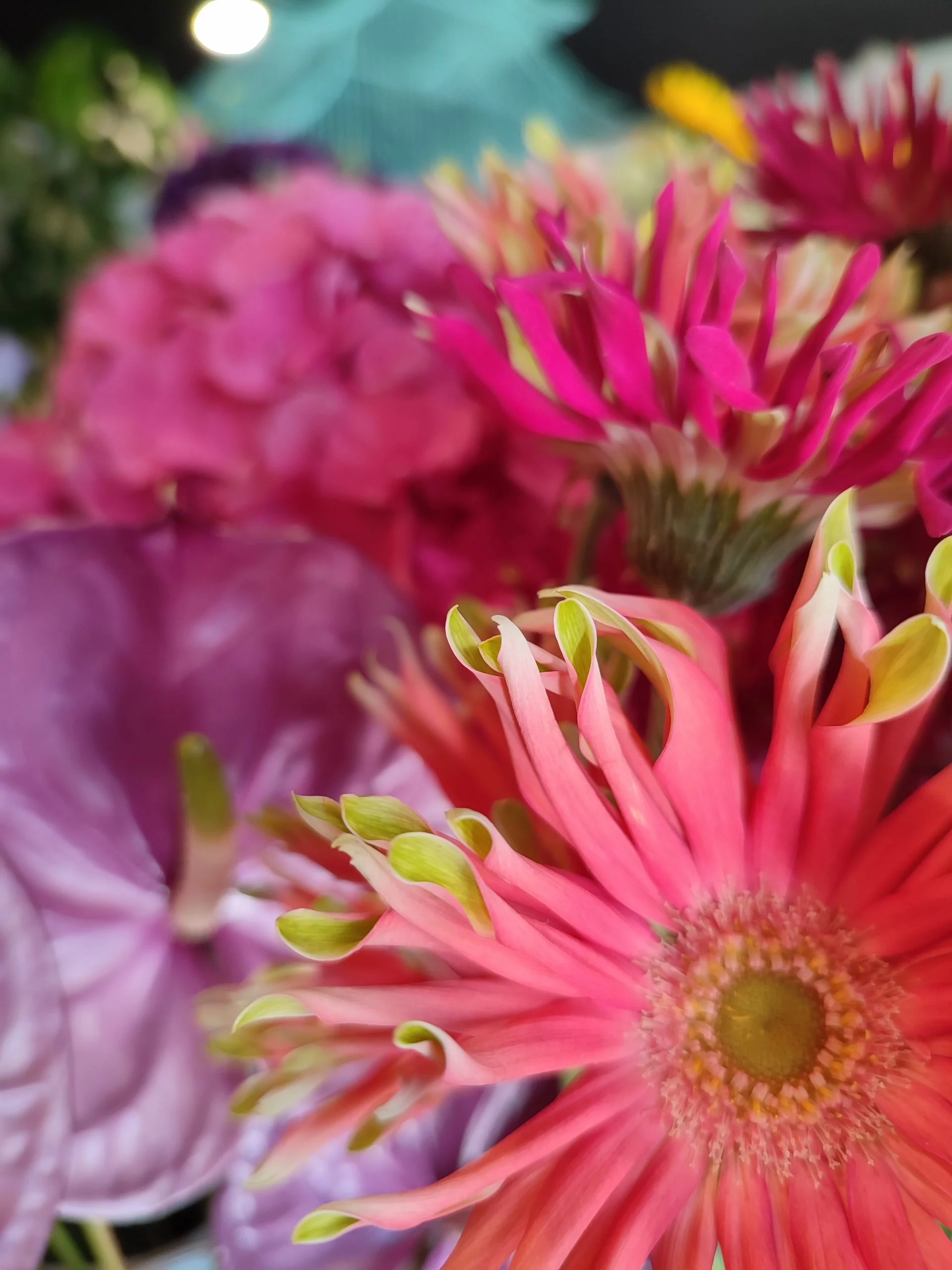 Livraison de fleurs Sainte-Bazeille et proximité, par Fleuriste Guille, artisan fleuriste