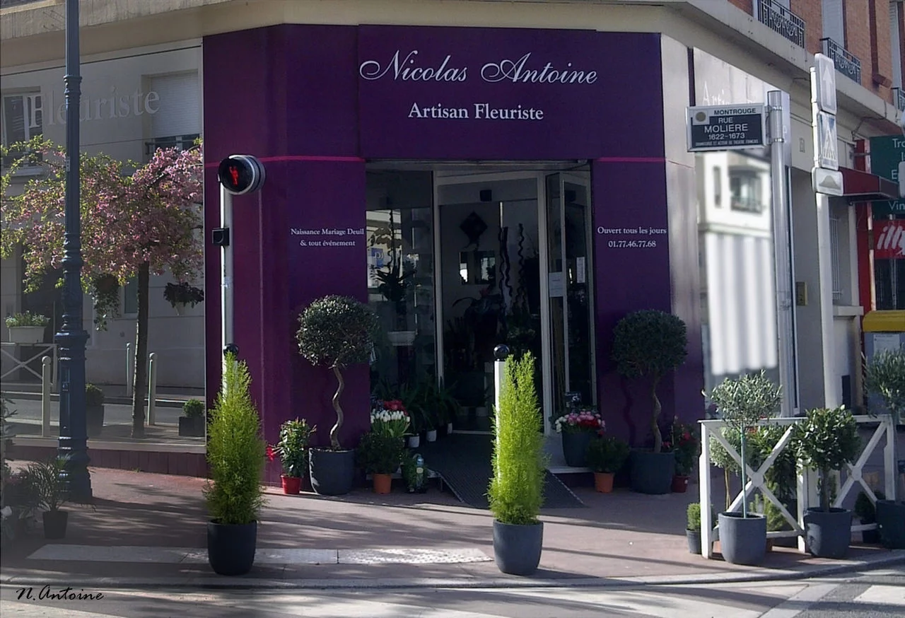Livraison de fleurs Montrouge et proximité, par Nicolas Antoine, artisan fleuriste