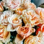 Roses de Rêve d'Orchidée, par Rêve d'orchidée, fleuriste à Quimper
