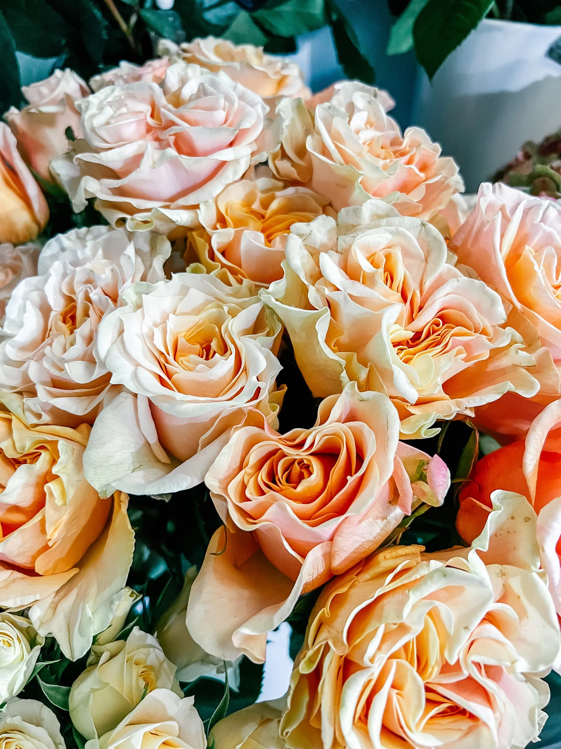 Roses de Rêve d’Orchidée, par Rêve d'orchidée, fleuriste à Quimper