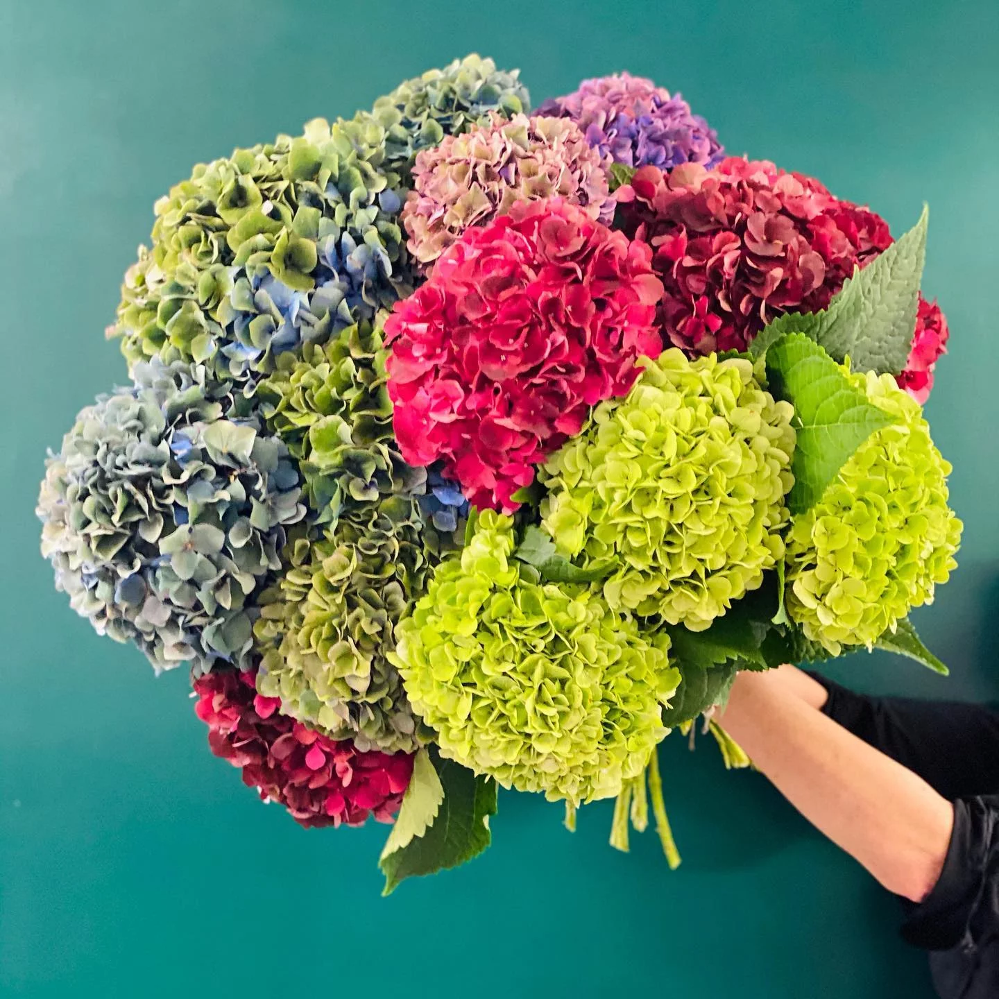 Flower Delivery in Lyon and the Surrounding Area, by L'Enchantement, an Artisan Florist