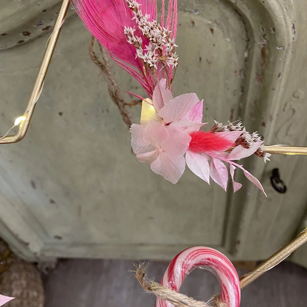 etoile lumineuse Christmas star, par Magnolia Fleuriste, fleuriste à Antibes