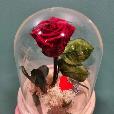 Rose éternelle sur tige, par Art Végétal, fleuriste à Corbas