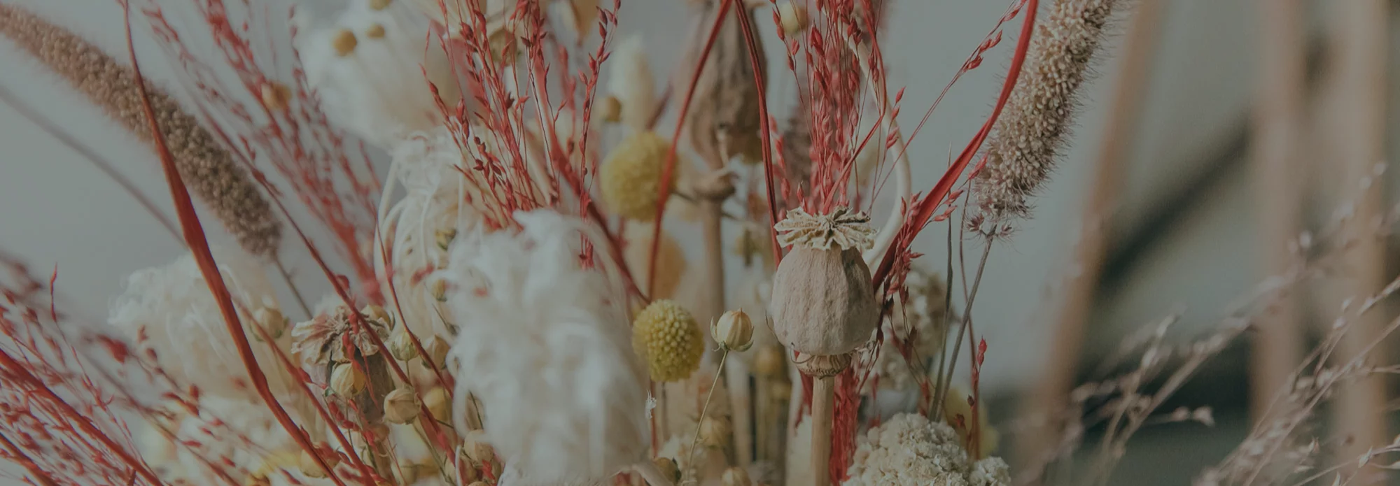 Les plus beaux bouquets de Fleurs Séchées livrés par votre artisan fleuriste