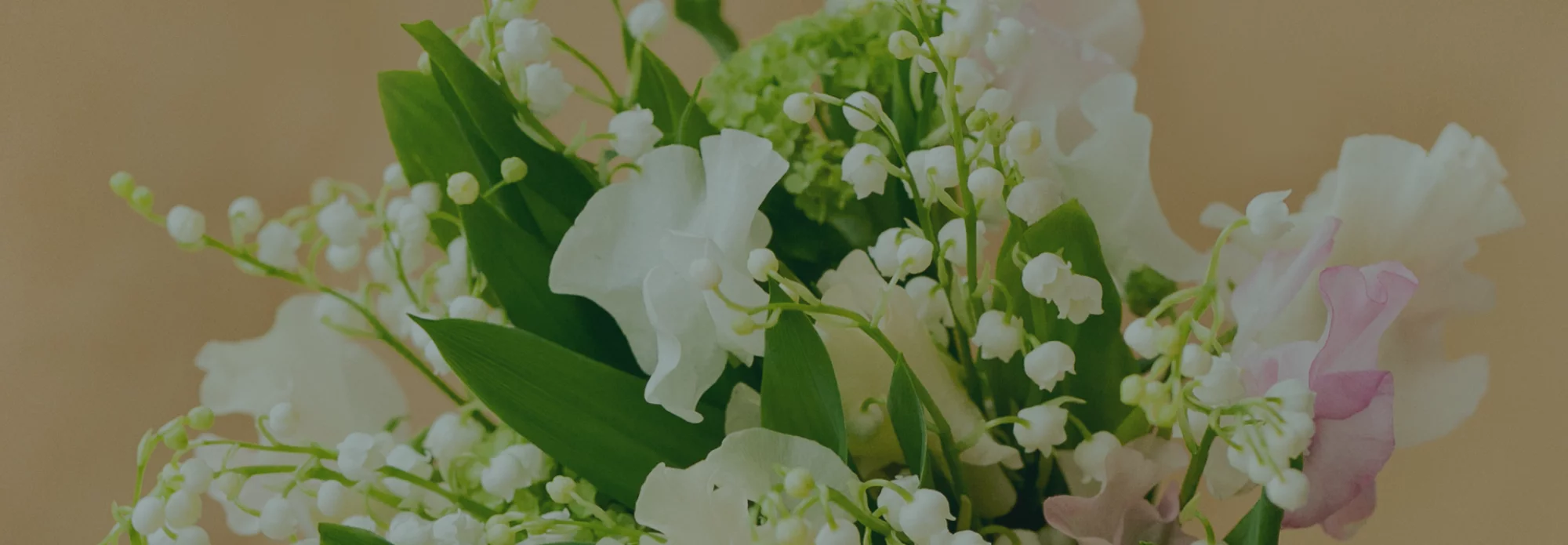 Les plus beaux bouquets de Muguet livrés à petit prix par votre artisan fleuriste