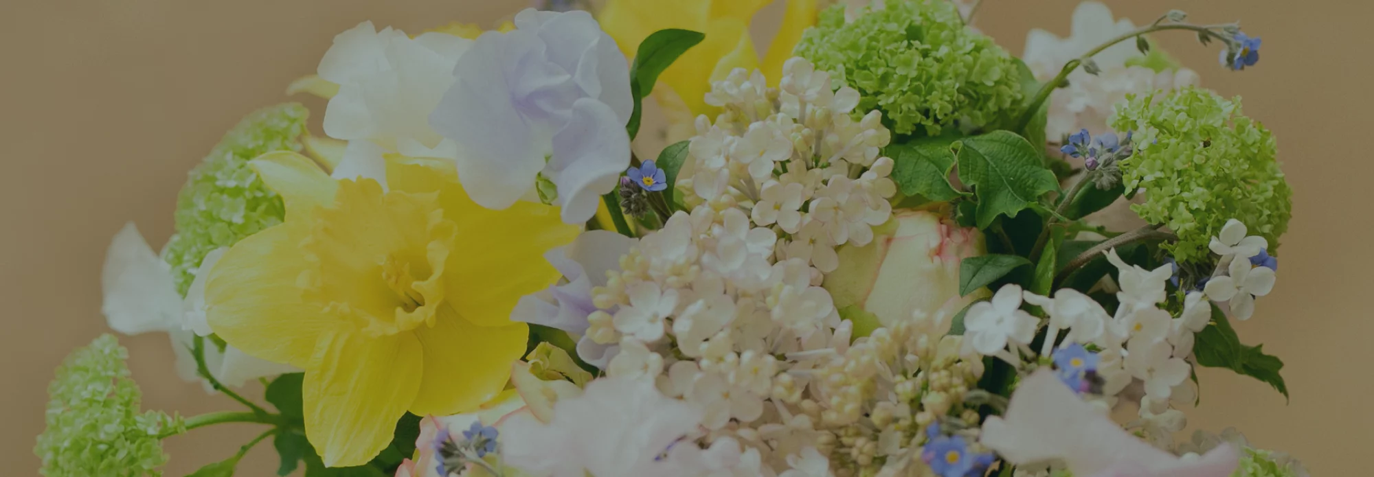 Découvrez nos bouquets Naissance
