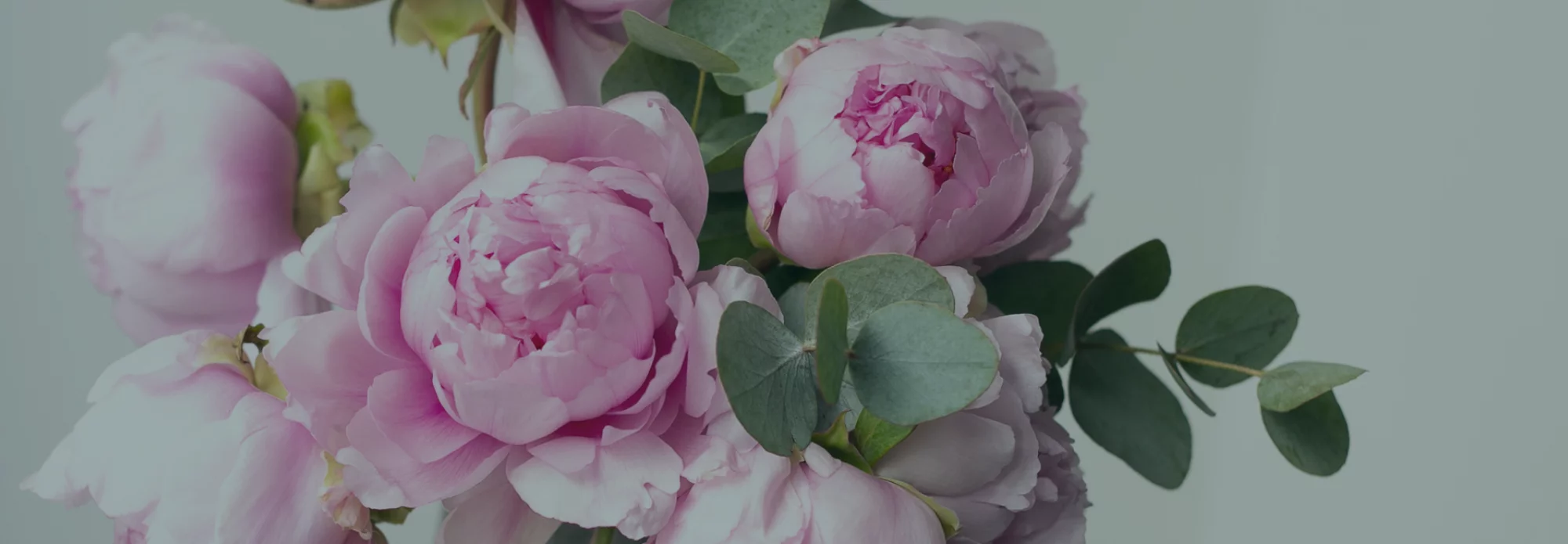Découvrez nos bouquets Pivoines