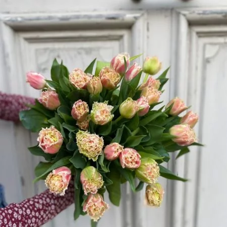 Bouquet de tulipes, par Atelier Armelle Alleton, fleuriste à Le Mans
