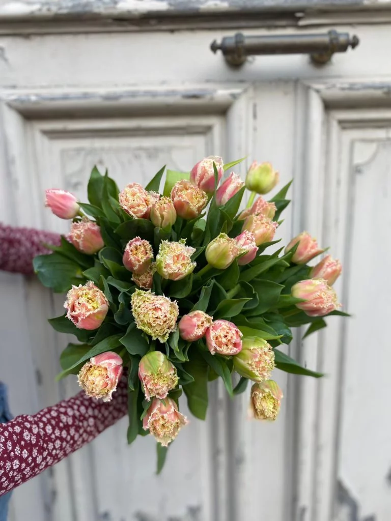 Bouquet de tulipes, par Atelier Armelle Alleton, fleuriste à Le Mans