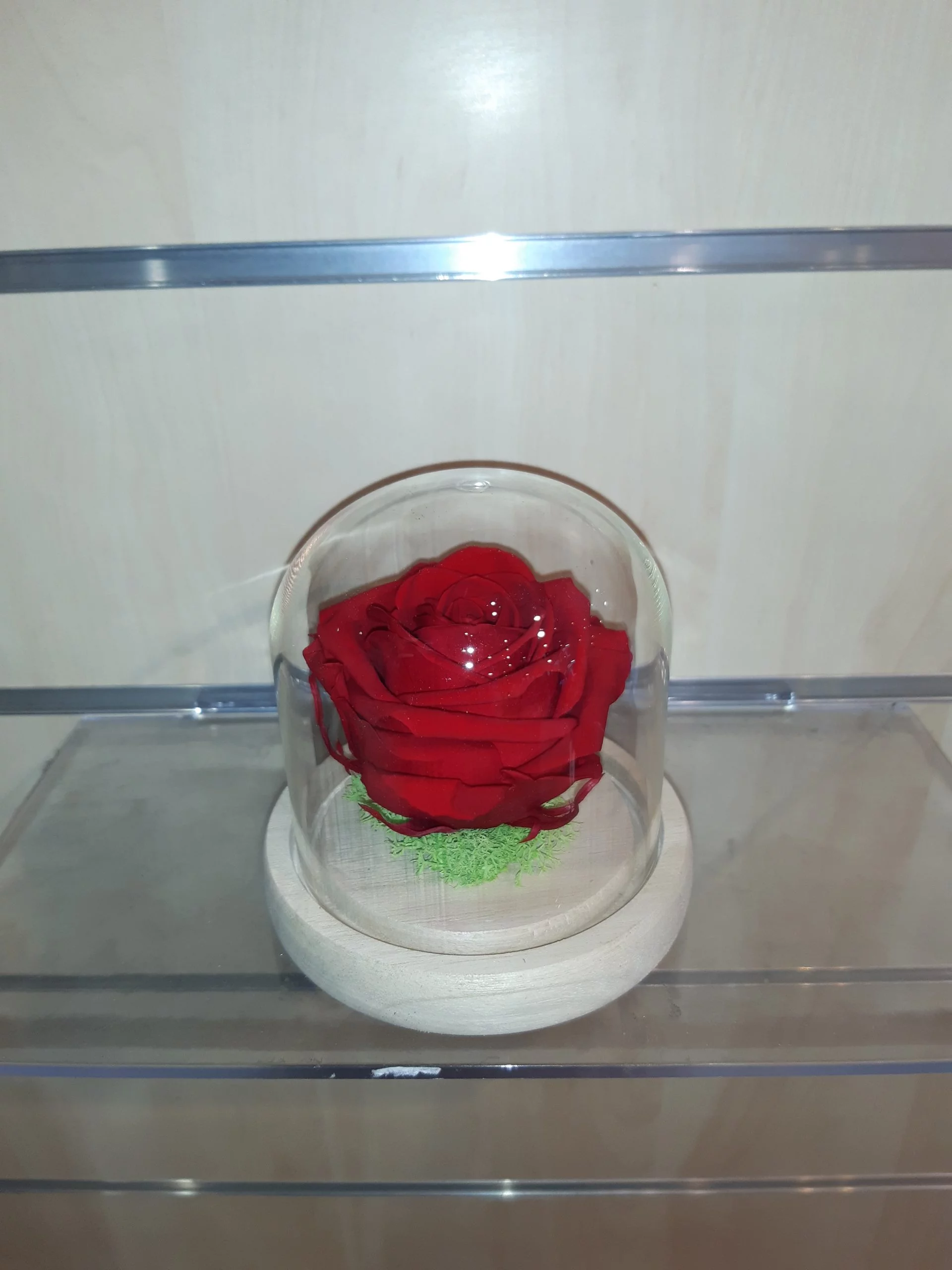 Rose éternelle gros bouton sous cloche, par Le Jardin D'Elise, fleuriste à Clermont-Ferrand