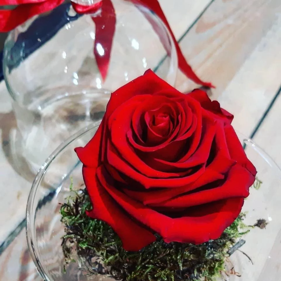 rose éternelle, par L'Enchantement, fleuriste à Lyon