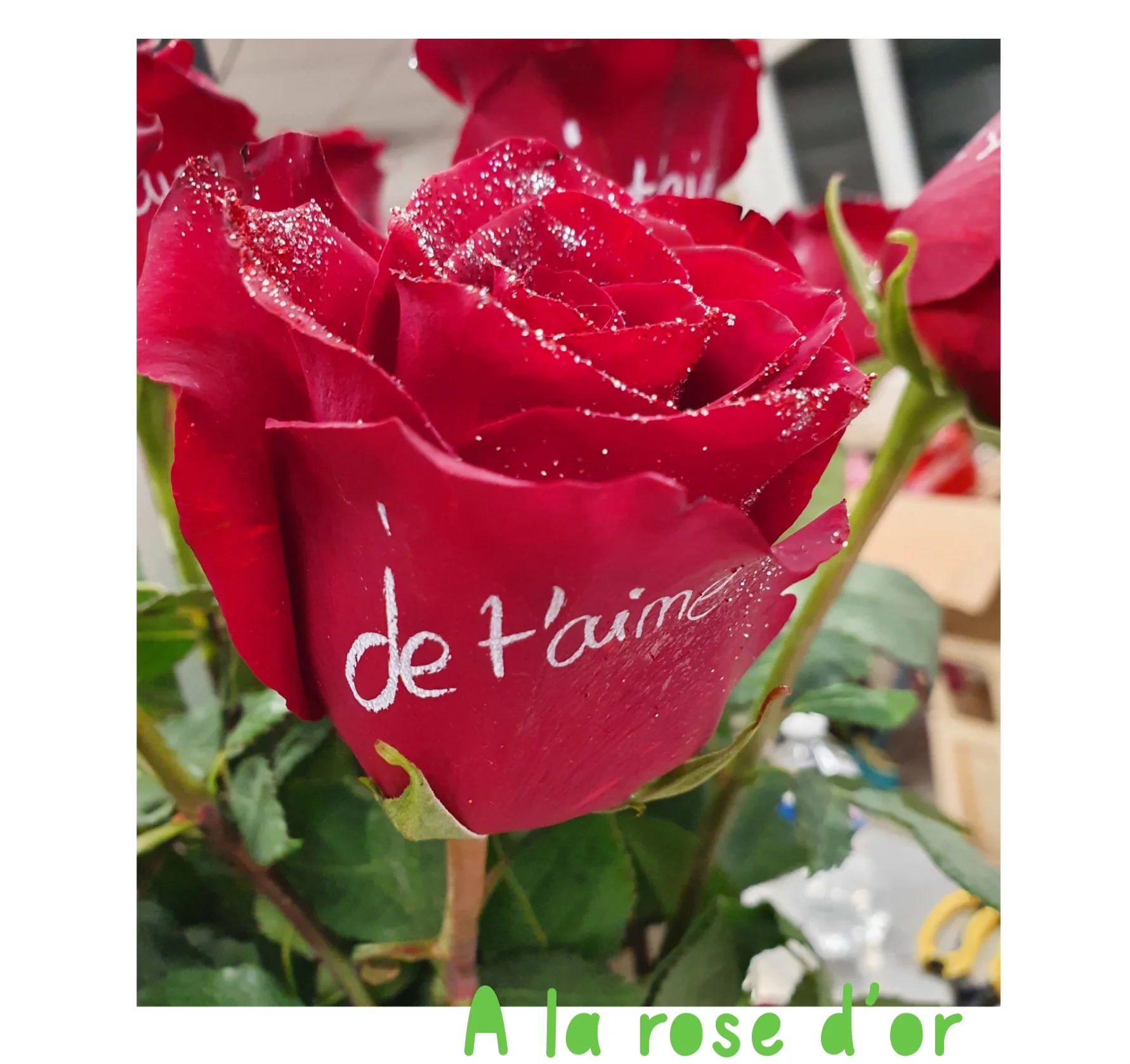 Rose rouge « je t’aime », par A La Rose d'Or, fleuriste à Narbonne